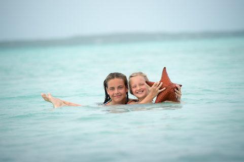 starfish bahamas