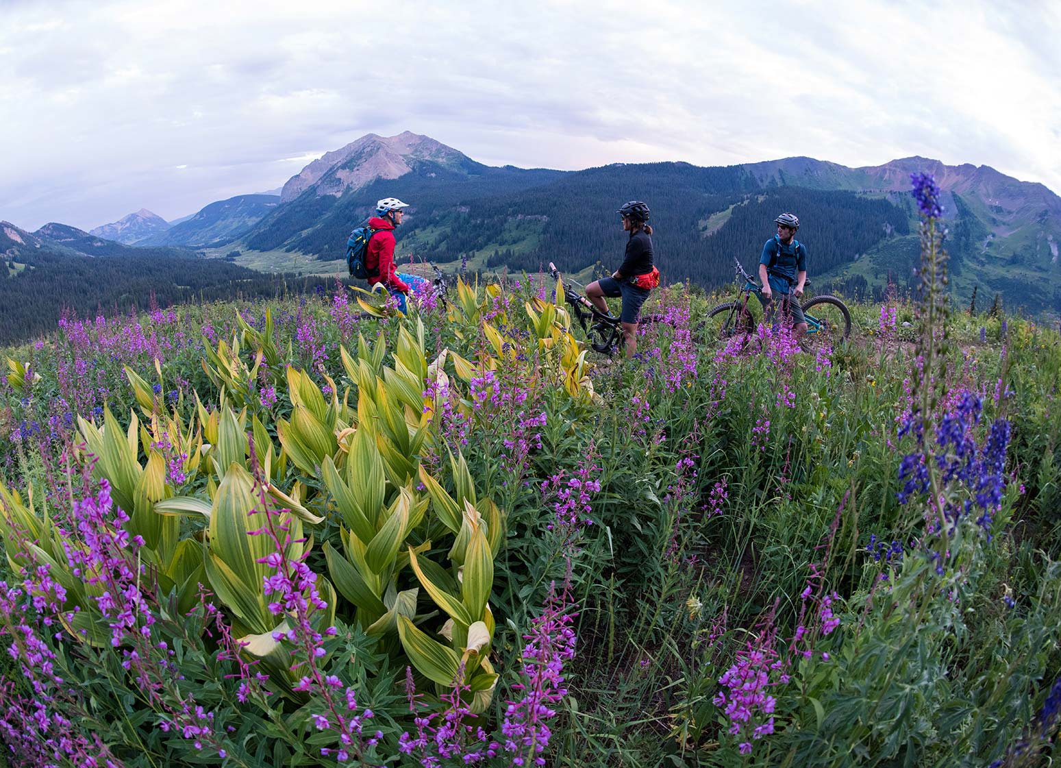 Crested Butte Singletrack Experience
