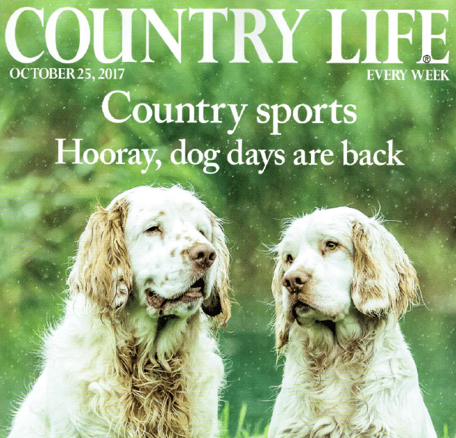 Country Life Magazine Eleven Experience