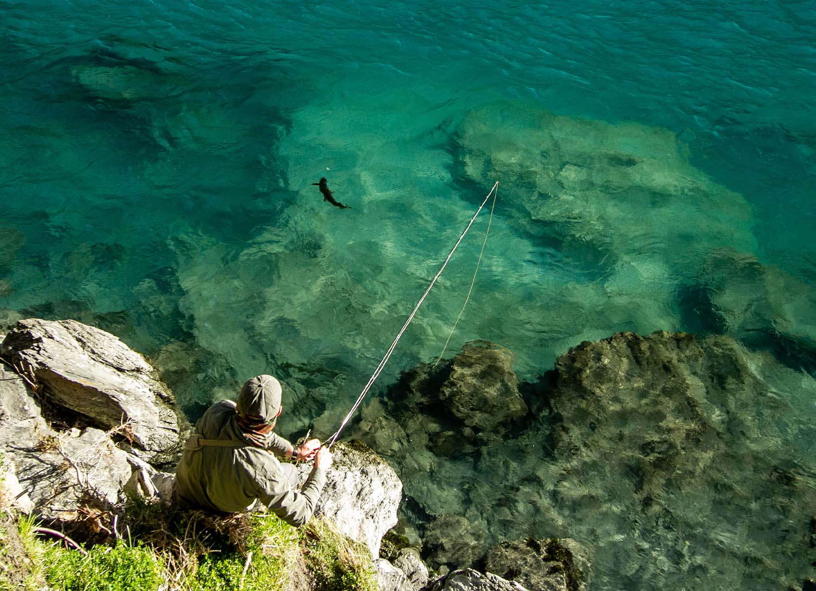 Angler catching a trout in New Zealand