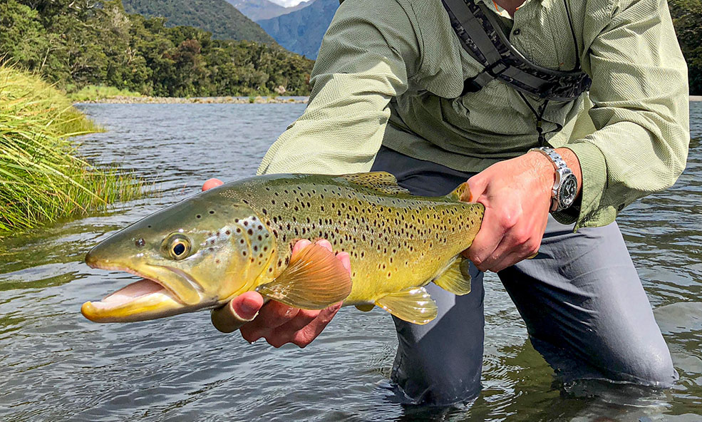 New Zealand Trout Fly Fishing