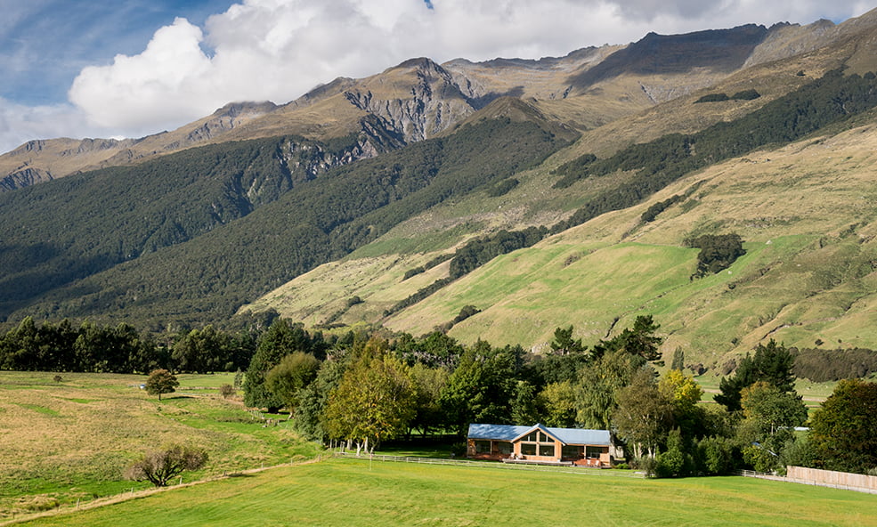 Cedar Lodge NZ hills