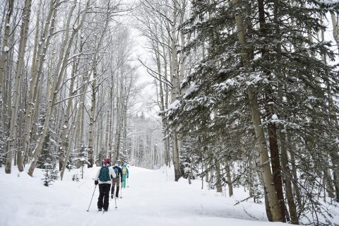 Group snowshoeing in Colorado in the winter near Taylor River Lodge