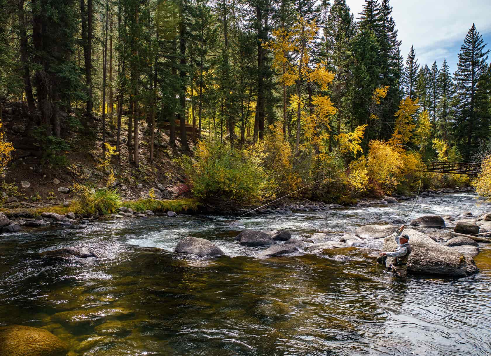 3 Colorado Fly Fishing Updates That Will Help You Make The Most Out of the Season