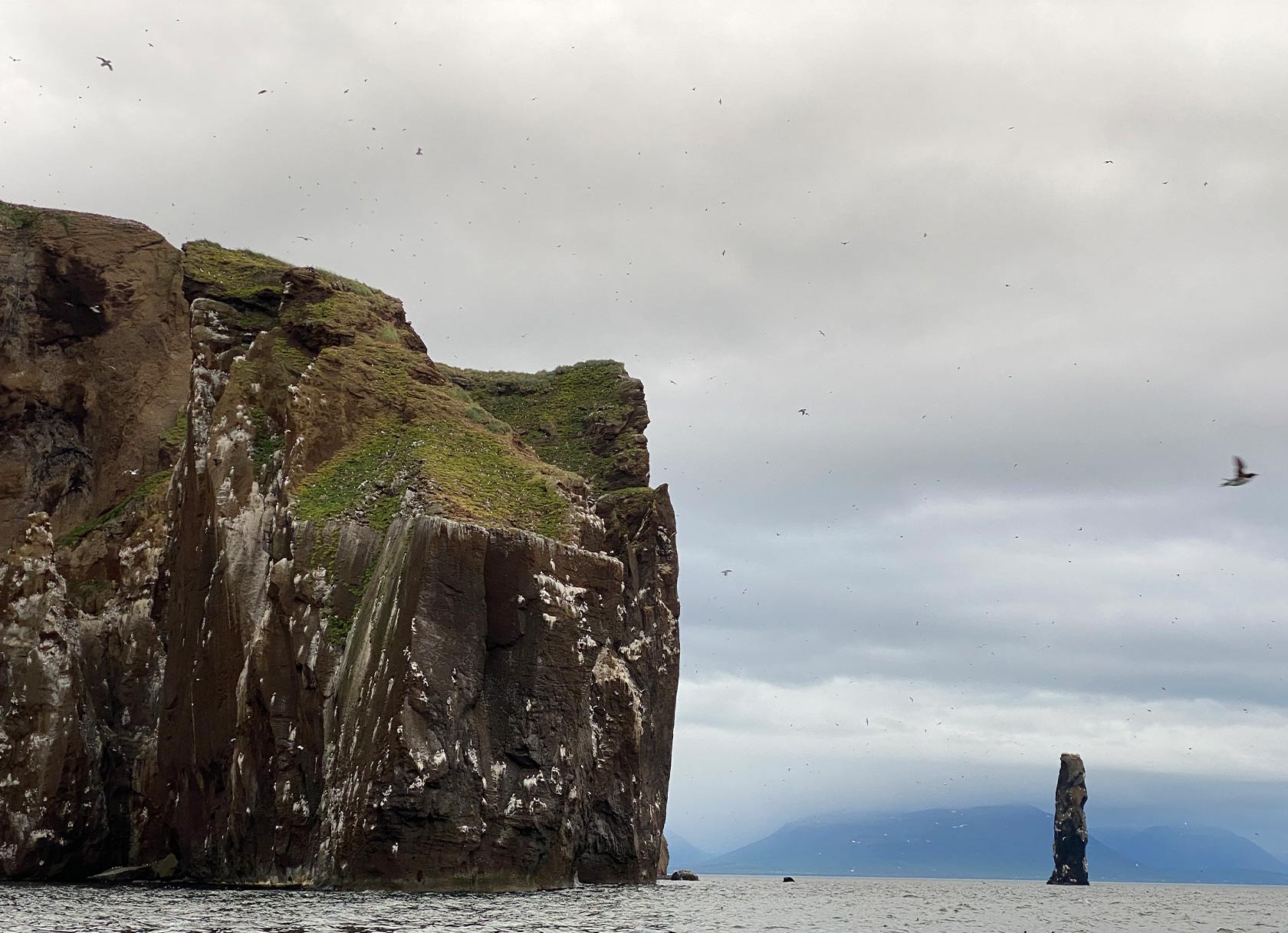 A Guide to Seeing Puffins in Iceland from Brian O'Keefe