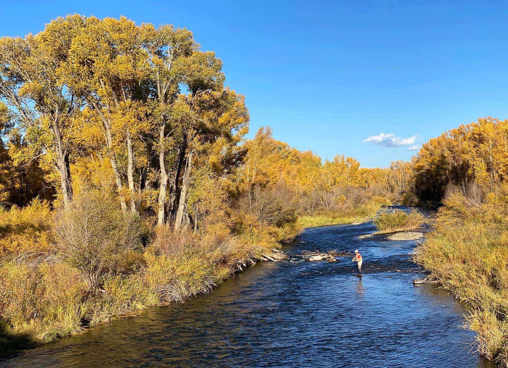 Fall Fly Fishing in Colorado: September Report
