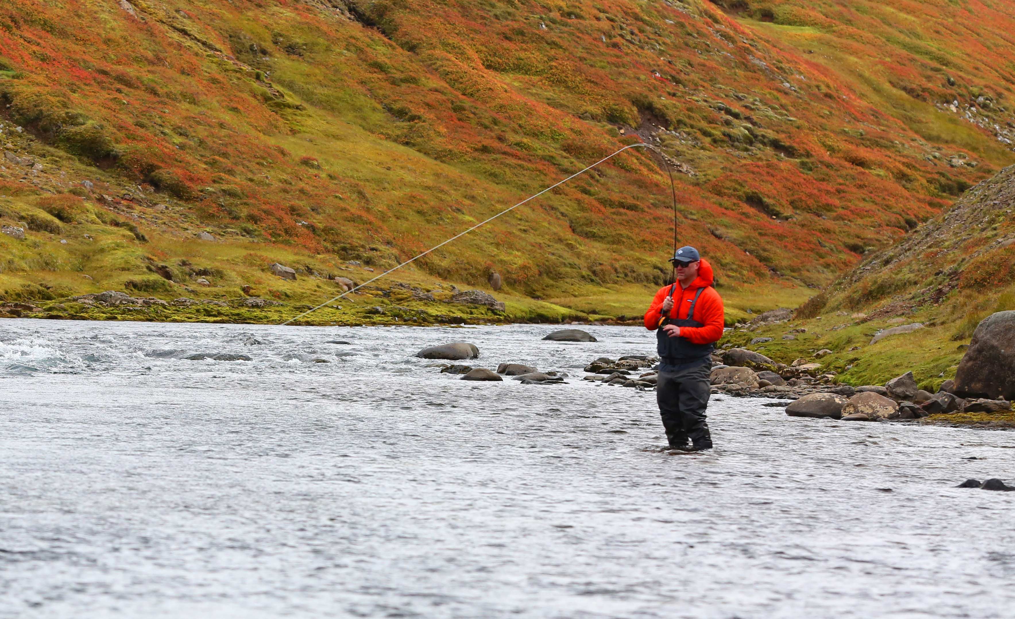 guide fights salmon holkna river