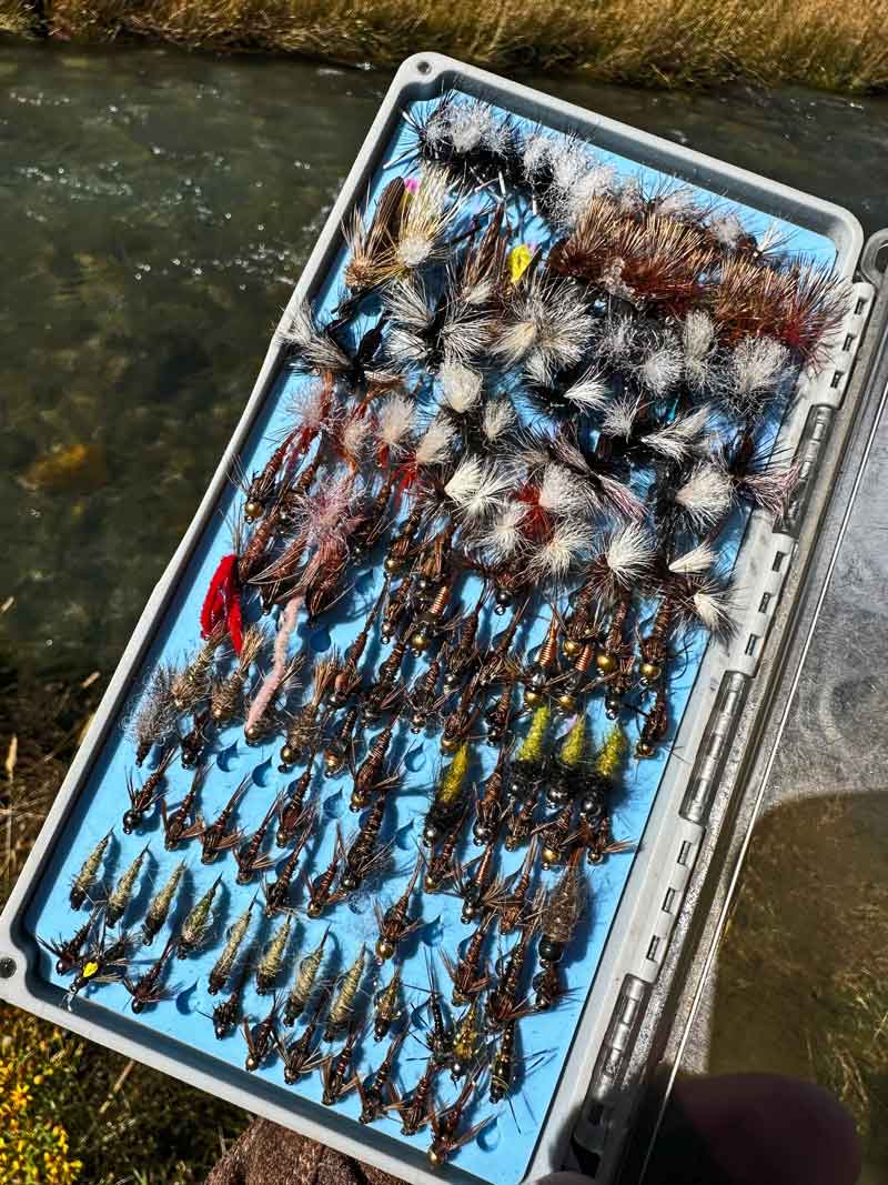 assortment of fly fishing flies