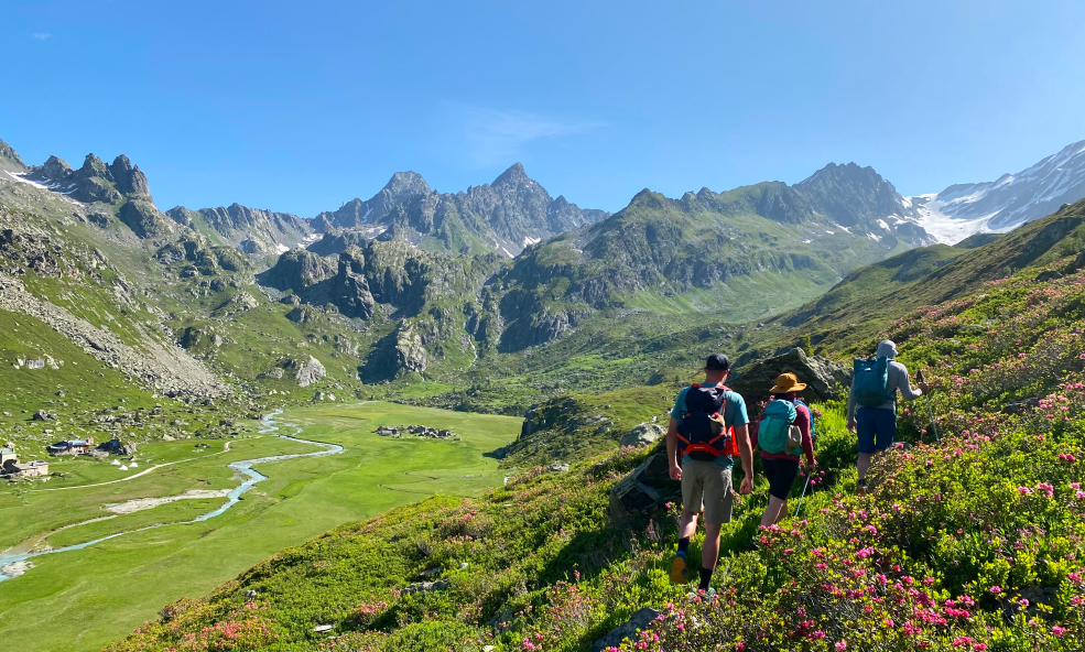 hikers in the french alps