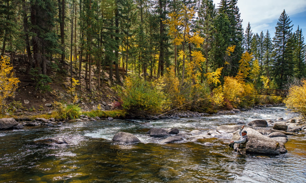 Fly fishing the Taylor River in Colorado
